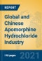 Global and Chinese Apomorphine Hydrochloride Industry, 2021 Market Research Report - Product Thumbnail Image
