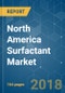 North America Surfactant Market - Segmented by Type, Origin, Application, and Geography - Growth, Trends and Forecast (2018 - 2023) - Product Thumbnail Image