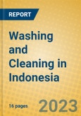Washing and Cleaning in Indonesia: ISIC 9301- Product Image