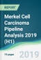 Merkel Cell Carcinoma Pipeline Analysis 2019 (H1) - Product Thumbnail Image