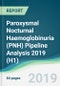 Paroxysmal Nocturnal Haemoglobinuria (PNH) Pipeline Analysis 2019 (H1) - Product Thumbnail Image