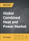 Combined Heat and Power (CHP) - Global Strategic Business Report - Product Thumbnail Image