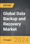 Data Backup and Recovery - Global Strategic Business Report - Product Thumbnail Image