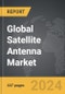 Satellite Antenna - Global Strategic Business Report - Product Thumbnail Image