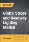 Street and Roadway Lighting - Global Strategic Business Report - Product Thumbnail Image