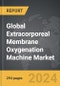 Extracorporeal Membrane Oxygenation (ECMO) Machine - Global Strategic Business Report - Product Thumbnail Image