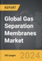 Gas Separation Membranes - Global Strategic Business Report - Product Thumbnail Image
