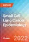 Small Cell Lung Cancer - Epidemiology Forecast to 2032 - Product Thumbnail Image