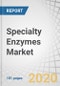 Specialty Enzymes Market by Type (Carbohydrases, Proteases, Lipases, Polymerases & Nucleases, and Other enzymes), Source, Application (pharmaceuticals, Research & Biotechnology, Diagnostics, and Biocatalysts), Form, and Region - Global Forecast to 2025 - Product Thumbnail Image