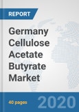 Germany Cellulose Acetate Butyrate Market: Prospects, Trends Analysis, Market Size and Forecasts up to 2025- Product Image