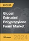 Extruded Polypropylene (XPP) Foam - Global Strategic Business Report - Product Thumbnail Image