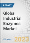 Global Industrial Enzymes Market by Type (Carbohydrases, Proteases, Lipases, Polymerases & Nucleases), Application (Food & Beverages, Bioethanol, Feed, Detergents, Wastewater, Soil, Oil Treatment), Source, Formulation and Region - Forecast to 2028- Product Image
