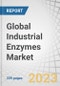 Global Industrial Enzymes Market by Type (Carbohydrases, Proteases, Lipases, Polymerases & Nucleases), Application (Food & Beverages, Bioethanol, Feed, Detergents, Wastewater, Soil, Oil Treatment), Source, Formulation and Region - Forecast to 2028 - Product Image