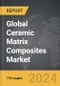 Ceramic Matrix Composites - Global Strategic Business Report - Product Thumbnail Image