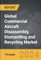 Commercial Aircraft Disassembly, Dismantling and Recycling - Global Strategic Business Report - Product Thumbnail Image