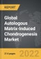 Autologous Matrix-Induced Chondrogenesis (AMIC) - Global Strategic Business Report - Product Image