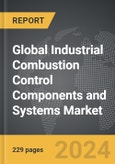 Industrial Combustion Control Components and Systems - Global Strategic Business Report- Product Image