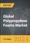 Polypropylene Foams - Global Strategic Business Report - Product Thumbnail Image