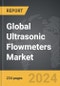 Ultrasonic Flowmeters - Global Strategic Business Report - Product Thumbnail Image