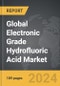 Electronic Grade Hydrofluoric Acid - Global Strategic Business Report - Product Thumbnail Image