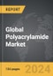 Polyacrylamide - Global Strategic Business Report - Product Thumbnail Image
