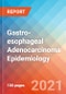 Gastro-esophageal Adenocarcinoma - Epidemiology Forecast - 2030 - Product Thumbnail Image