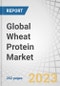 Global Wheat Protein Market by Product (Gluten, Protein Isolate, Textured Protein, Hydrolyzed Protein), Form, Concentration, Application (Bakery & Snacks, Pet Food, Nutritional Bars & Drinks, Processed Meat, Meat Analogs) & Region - Forecast to 2028 - Product Thumbnail Image