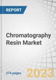 Chromatography Resin Market by type (Natural, Synthetic, Inorganic Media), Technique (Ion Exchange, Affinity, Hydrophobic Interaction, Size Exclusion, Mixed Mode), Application (Pharmaceutical & Biotechnology, FnB), Region - Global Forecasts to 2028- Product Image