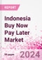Indonesia Buy Now Pay Later Business and Investment Opportunities Databook - 75+ KPIs on BNPL Market Size, End-Use Sectors, Market Share, Product Analysis, Business Model, Demographics - Q1 2024 Update - Product Thumbnail Image