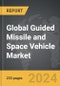 Guided Missile and Space Vehicle: Global Strategic Business Report - Product Thumbnail Image
