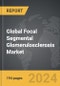 Focal Segmental Glomerulosclerosis - Global Strategic Business Report - Product Thumbnail Image