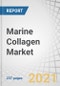 Marine Collagen Market by Type (Type I, Type III), Application (Nutraceuticals, Cosmetic, Medical), Source (Skin, Scales, and Muscles, Bones & Tendons), Animal and Region - Trends and Global Forecast to 2026 - Product Thumbnail Image