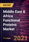 Middle East & Africa Functional Proteins Market Forecast to 2027 - COVID-19 Impact and Regional Analysis By Type, Source, Form, Application, and Country - Product Thumbnail Image