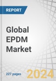 Global EPDM Market by Application (Automotive, Building & Construction, Plastic Modification, Tires & Tubes, Wires & Cables and Lubricant Additives), Manufacturing Process, Region (North America, Europe, APAC, MEA, and South America) - Forecast to 2028- Product Image