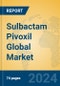 Sulbactam Pivoxil Global Market Insights 2024, Analysis and Forecast to 2029, by Manufacturers, Regions, Technology, Application - Product Thumbnail Image