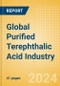 Global Purified Terephthalic Acid (PTA) Industry Outlook to 2028-Capacity and Capital Expenditure Forecasts with Details of All Active and Planned Plants - Product Image