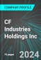 CF Industries Holdings Inc (CF:NYS): Analytics, Extensive Financial Metrics, and Benchmarks Against Averages and Top Companies Within its Industry - Product Thumbnail Image