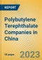 Polybutylene Terephthalate Companies in China - Product Image