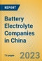 Battery Electrolyte Companies in China - Product Image