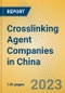 Crosslinking Agent Companies in China - Product Image