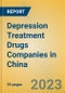 Depression Treatment Drugs Companies in China - Product Thumbnail Image