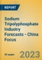 Sodium Tripolyphosphate Industry Forecasts - China Focus - Product Image