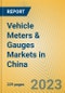 Vehicle Meters & Gauges Markets in China - Product Image