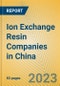 Ion Exchange Resin Companies in China - Product Image