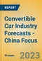 Convertible Car Industry Forecasts - China Focus - Product Image