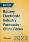 Battery Electrolyte Industry Forecasts - China Focus - Product Image