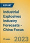 Industrial Explosives Industry Forecasts - China Focus - Product Image