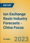 Ion Exchange Resin Industry Forecasts - China Focus - Product Thumbnail Image