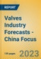 Valves Industry Forecasts - China Focus - Product Image