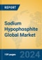 Sodium Hypophosphite Global Market Insights 2024, Analysis and Forecast to 2029, by Manufacturers, Regions, Technology, Application - Product Image
